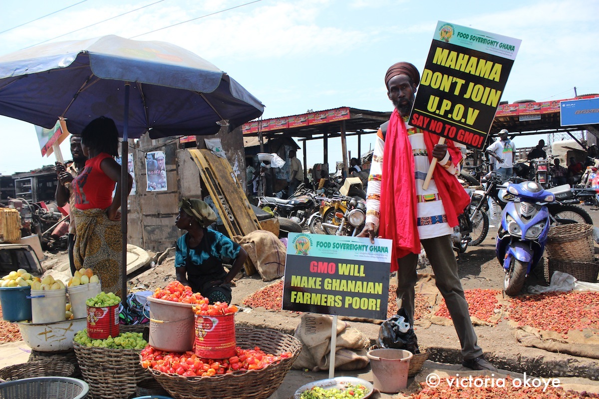 Article : Des anti-OGM manifestent à Accra et tentent de lancer un mouvement durable